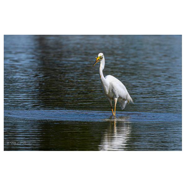 PHOTO84, CLUB, 84 , LUBERON